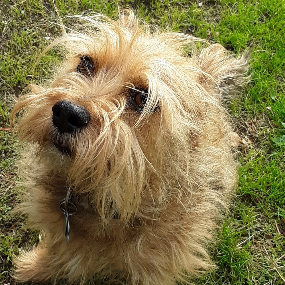 Meet your Posher, Robert